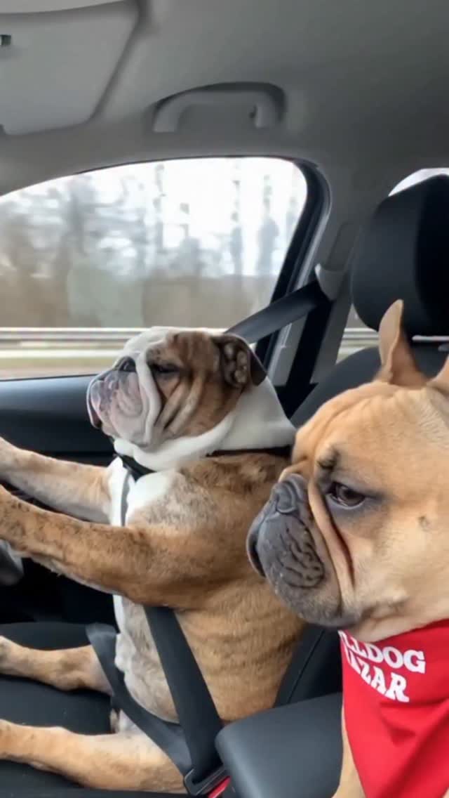 617517788 1918845555673174 5470597873227110376 n