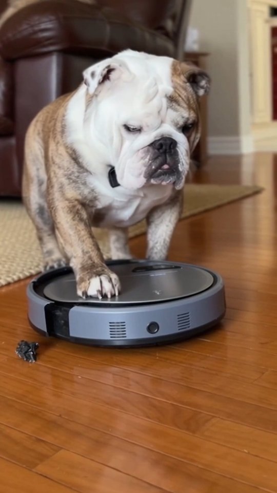 620416109 18548324059057686 6498784779195570860 n