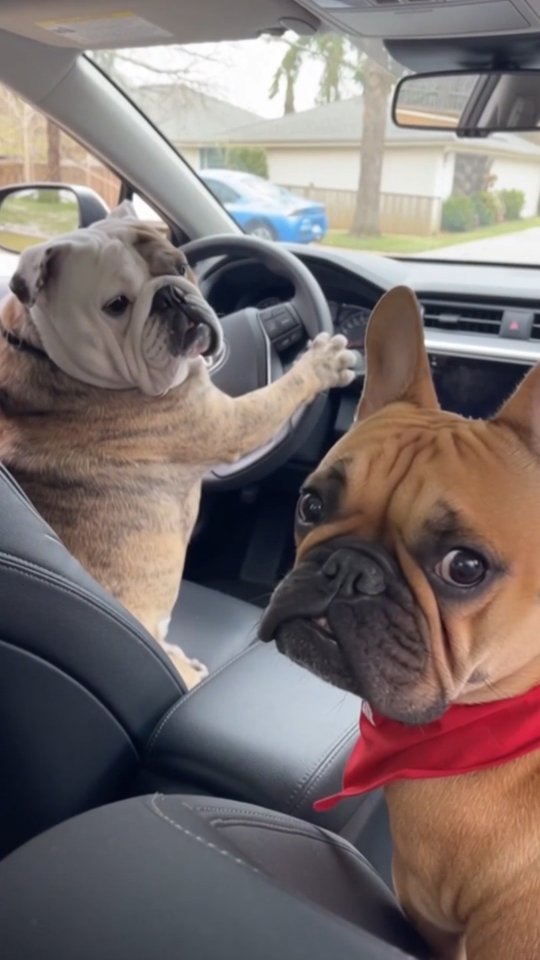 620416115 18548484679057686 1126820988572260726 n