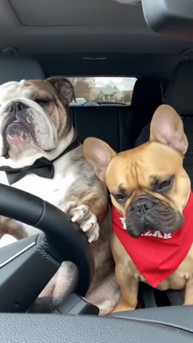 622657993 741752105284384 2732644923938430854 n