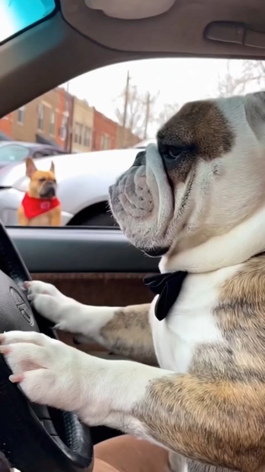 623815892 18549727414057686 7703123850364109273 n