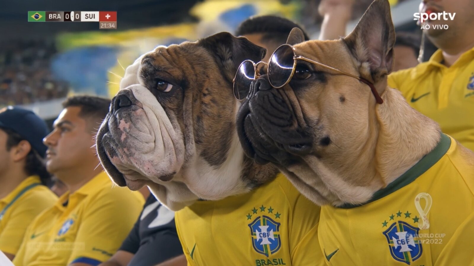 718943116 18589793182057686 2350075987059681545 n