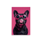 French Bulldog Poster - Bubblegum - Image 13