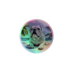 English Bulldog Holographic Sticker - Round 13 - 3x3