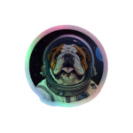 English Bulldog Holographic Sticker - Round 4 - 4x4