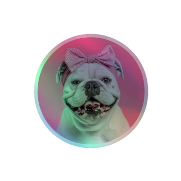 English Bulldog Holographic Sticker - Round 20 - 4x4