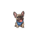 French Bulldog sticker - Sit 65 - Image 2