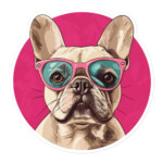 French Bulldog Sticker - Round 22