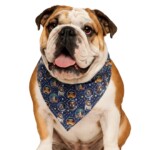 English Bulldog Bandana - Space