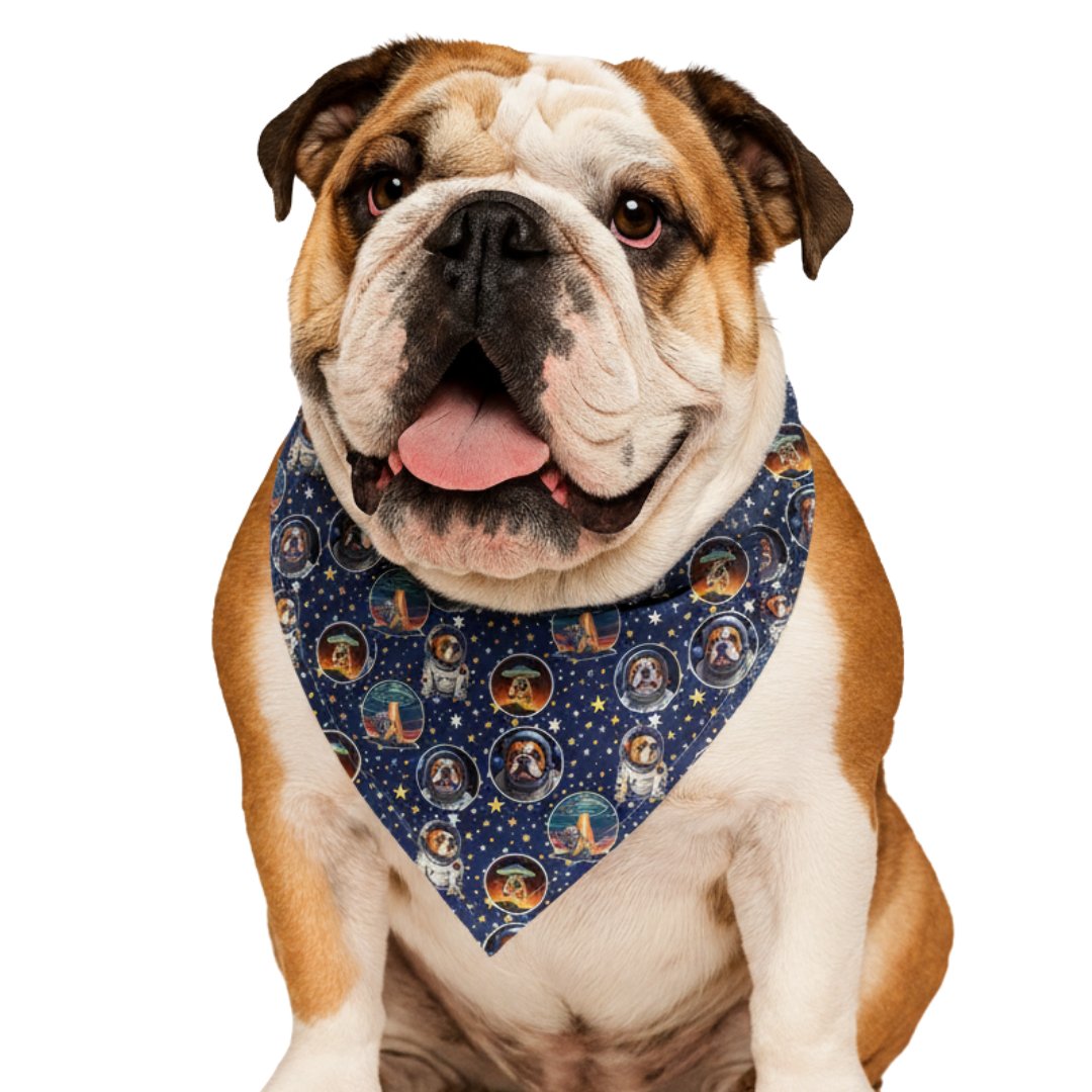 mockup bandana3 English Bulldog Bandana - Space - Image 1