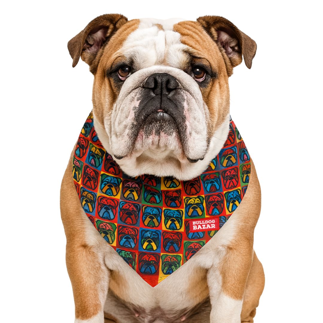 mockup bandana4 English Bulldog Bandana - Pop Faces - Image 1