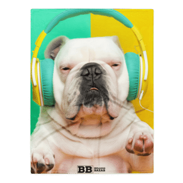 English Bulldog Throw Blanket - Samba