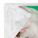 English Bulldog Throw Blanket - Samba
