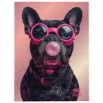 French Bulldog Throw Blanket - Bubblegum 2 - Image 2