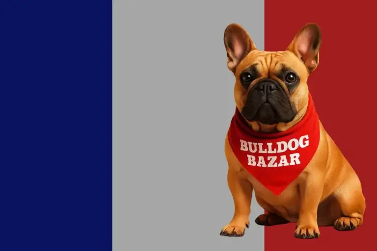 Home - Welcome to Bulldog Bazar Global