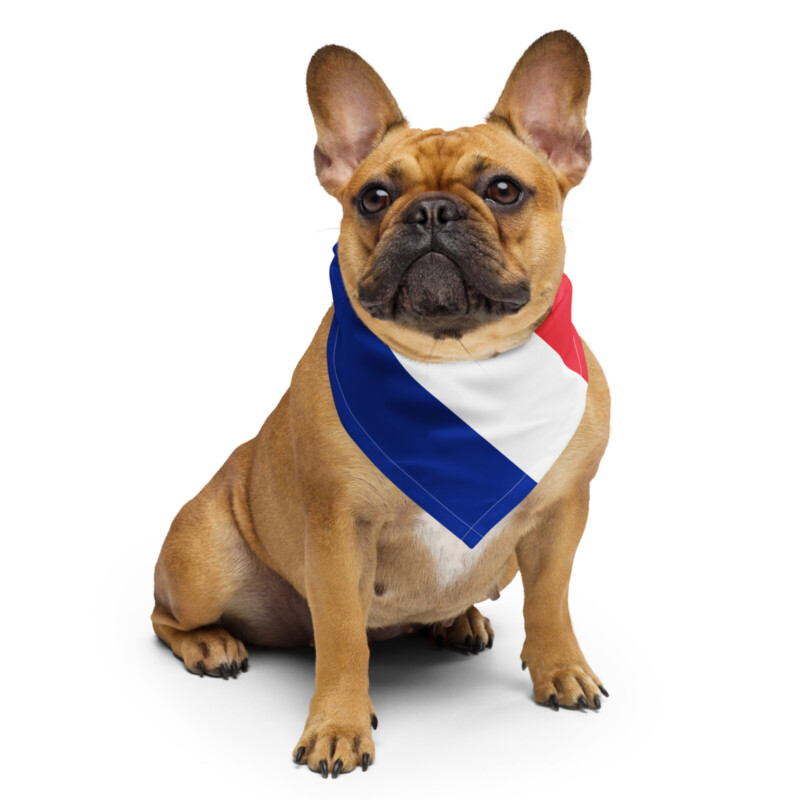 French Bulldog Bandana - France Flag