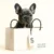 Flat illustration of a blue French Bulldog puppy inside a shopping bag used for the French Bulldog Price 2026 guide.
