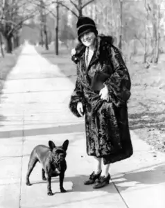 French Bulldog walking with owner in early 20th century Europe