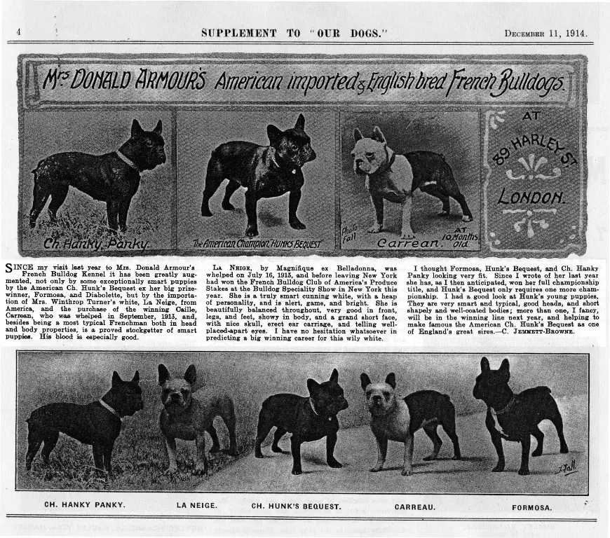 Historic newspaper supplement from 1914 showing imported and English-bred French Bulldogs by Donald Armour