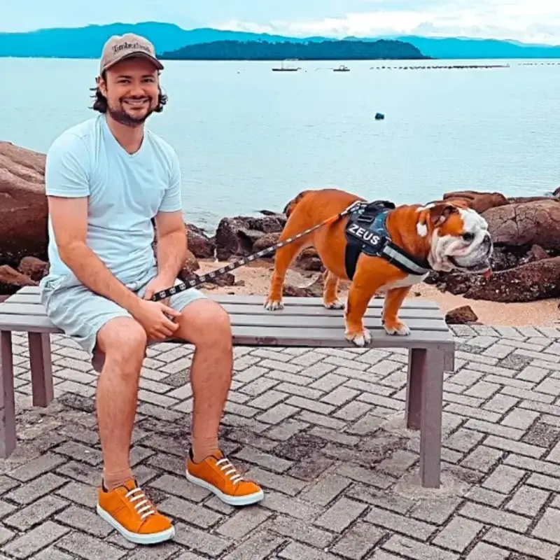 English Bulldog with a natural tail standing on a bench next to his owner by the sea.